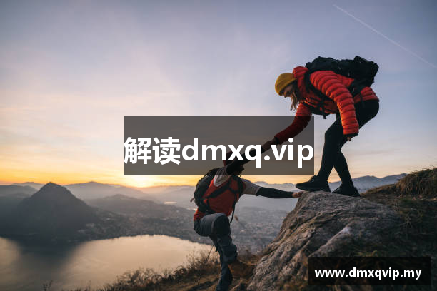 解读dmxq.vip